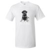 25 TShirts · Front Print · $16.99 Each Thumbnail
