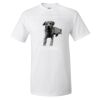 25 TShirts · Front Print · $16.99 Each Thumbnail