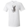 25 TShirts · Front Print · $16.99 Each Thumbnail