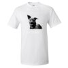 25 TShirts · Front Print · $16.99 Each Thumbnail