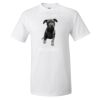 25 TShirts · Front Print · $16.99 Each Thumbnail