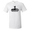 25 TShirts · Front Print · $16.99 Each Thumbnail